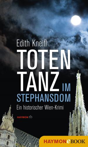 Cover of the book Totentanz im Stephansdom by Bernhard Barta