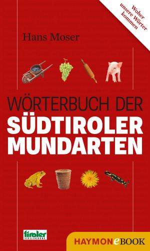 Cover of the book Wörterbuch der Südtiroler Mundarten by Hannes Leidinger