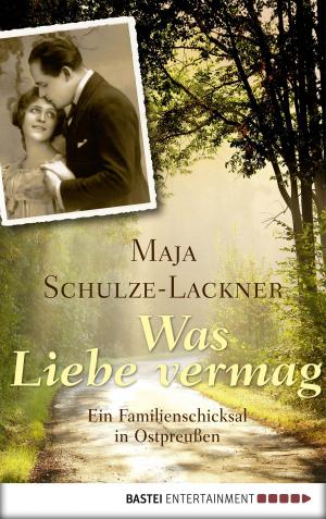 bigCover of the book Was Liebe vermag by 