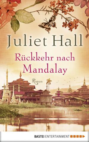 Cover of the book Rückkehr nach Mandalay by Jason Dark