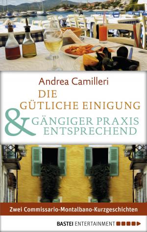 Cover of the book Die gütliche Einigung & Gängiger Praxis entsprechend by Sabine Stephan
