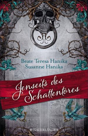 Cover of the book Jenseits des Schattentores by Dave Rudden