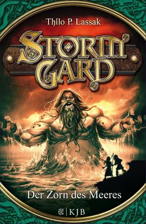 Cover of the book Stormgard: Der Zorn des Meeres by Fabian Lenk