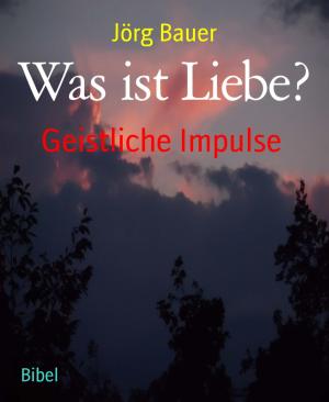 Cover of the book Was ist Liebe? by Alfred J. Schindler