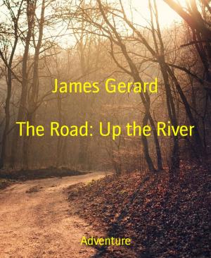 Book cover of The Road: Up the River