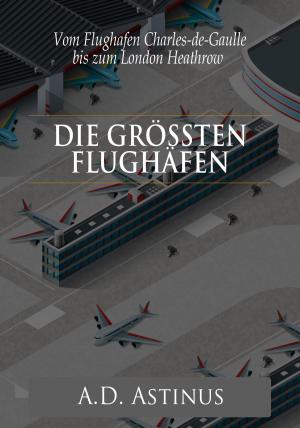 Cover of Die Neun größten Flughäfen des Flugzeitalters