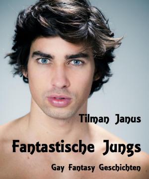 Cover of the book Fantastische Jungs by Jürgen Prommersberger