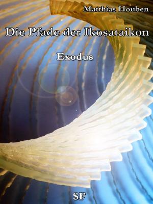 Cover of the book Die Pfade der Ikosataikon by Peter R. Hofmann