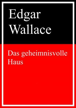Cover of the book Das geheimnisvolle Haus by Bernd Münch