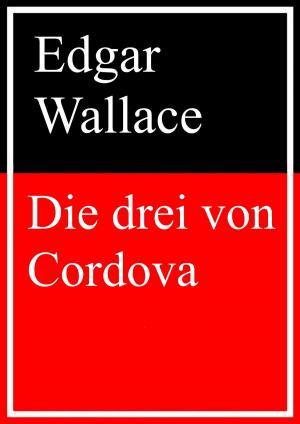Cover of the book Die drei von Cordova by J.A. Howell