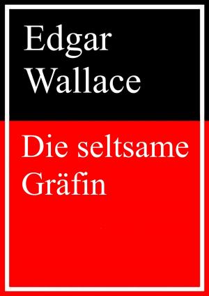Cover of the book Die seltsame Gräfin by Georg Lomer