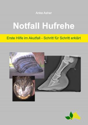 Cover of the book Notfall Hufrehe by Evelyne Zuber