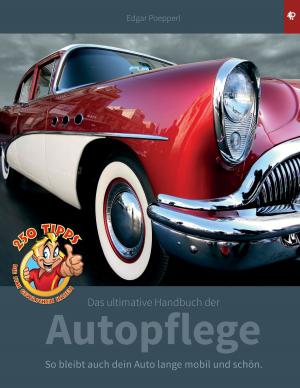 Cover of the book Das ultimative Handbuch der Autopflege by Ralph Ratz