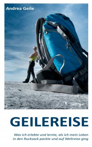 Cover of the book Geilereise by Felix Hollaender