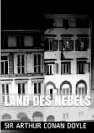 Cover of the book Land des Nebels by Harald Mizerovsky