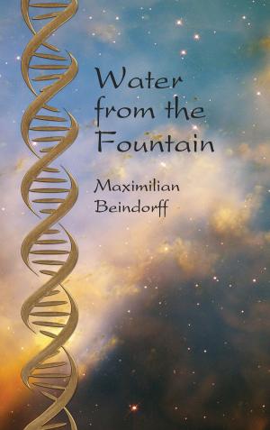 Cover of the book Water from the Fountain by 