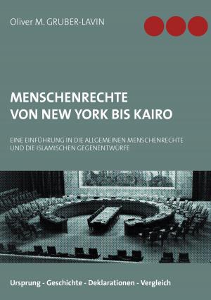 Cover of the book Menschenrechte von New York bis Kairo by Michael Mitrovic, Michael Schuster