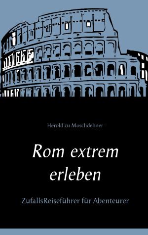 Cover of the book Rom extrem erleben by Susanne Wein