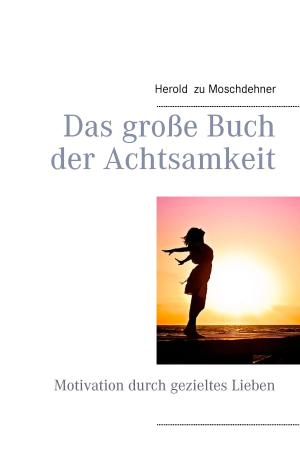 Cover of the book Das große Buch der Achtsamkeit by Franz Stadler