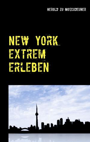 Cover of the book New York extrem erleben by Varda Hasselmann, Frank Schmolke