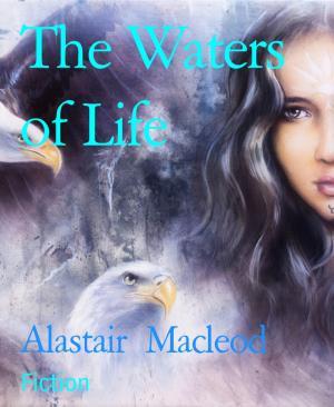 Cover of the book The Waters of Life by Thaddeus Hutyra