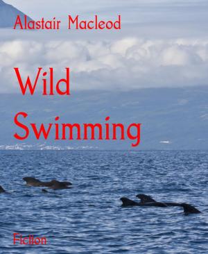 Book cover of Wild Swimming