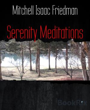 Cover of the book Serenity Meditations by Alastair Macleod