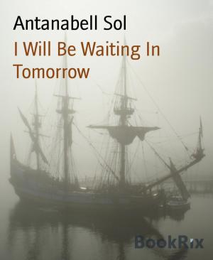 Cover of the book I Will Be Waiting In Tomorrow by Friedrich Gerstäcker