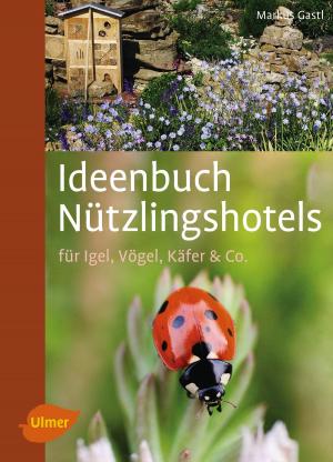 Cover of the book Ideenbuch Nützlingshotels by Dr. Wolfgang Ritter