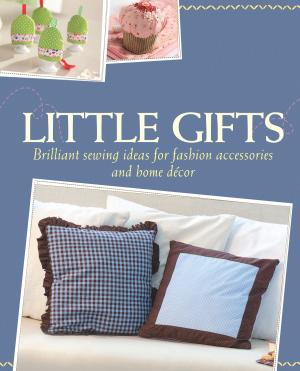 Book cover of Little Gifts