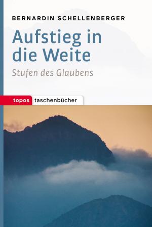 Book cover of Aufstieg in die Weite