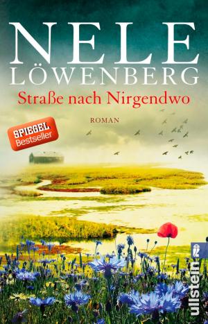 Cover of the book Straße nach Nirgendwo by Tina Glasneck, Ravenborn Covers