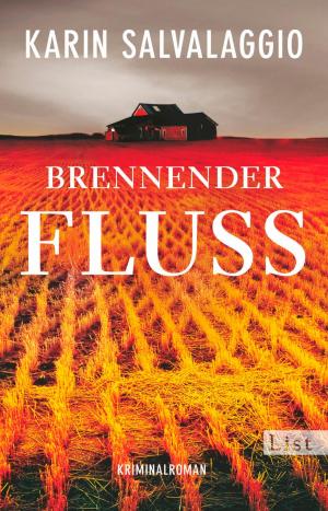 Cover of the book Brennender Fluss by J.P. Vaswani