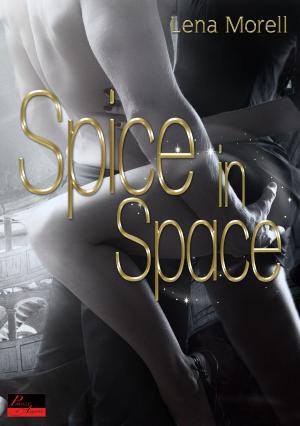 Cover of the book Spice in Space by Rhenna Morgan