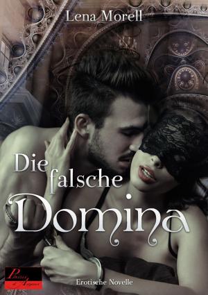 Cover of the book Die falsche Domina by Sarah Schwartz