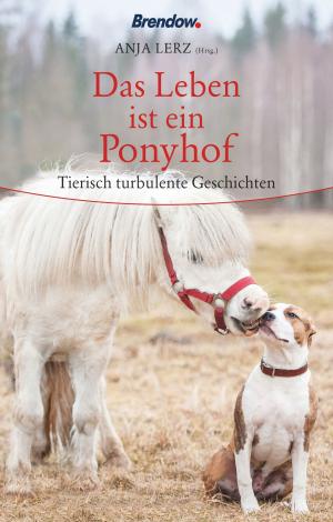 Cover of the book Das Leben ist ein Ponyhof by Jeff Lucas, Adrian Plass