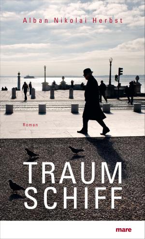 Cover of the book Traumschiff by Ulrike Draesner