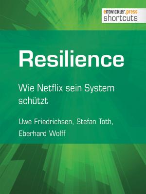 Cover of the book Resilience by Dennis Nobel, Markus Mann, Christian Götz, Paul Lajer