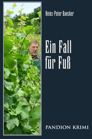 bigCover of the book Ein Fall für Fuß: Hunsrück-Krimi-Reihe Band X by 