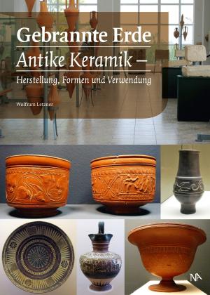 Cover of the book Gebrannte Erde by Wolfram Letzner