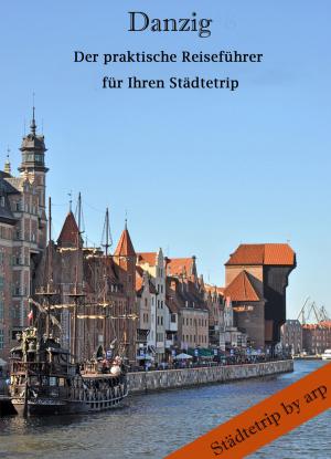 Book cover of Danzig - Der praktische Reiseführer für Ihren Städtetrip