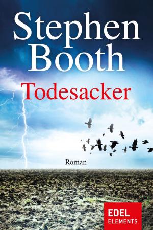 Cover of the book Todesacker by Hannes Wertheim