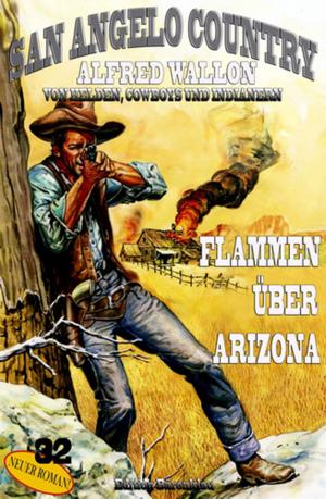 Cover of the book Flammen über Arizona by Margaret Wander Bonanno, Christopher L. Bennett