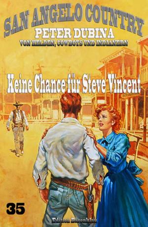 Book cover of Keine Chance für Steve Vincent
