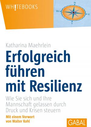 Cover of the book Erfolgreich führen mit Resilienz by Claudia Fischer