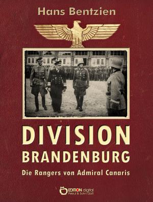 Book cover of Division Brandenburg