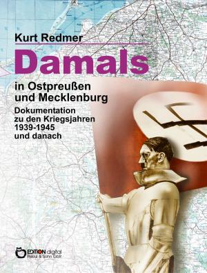 Book cover of Damals in Ostpreußen und Mecklenburg