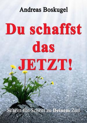 Book cover of DU schaffst das JETZT!