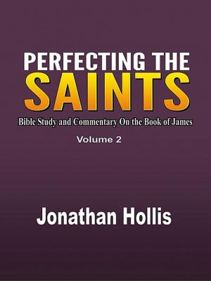 Cover of the book Perfecting the Saints Volume 2 by Kornelia Seebacher