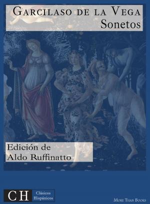 Cover of the book Sonetos by Antonio Martínez de Meneses
